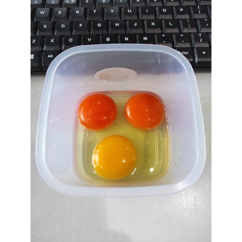 

IO TELUR AYAM NEGERI OMEGA ORGANIK 60 BUTIR / 2 TRAY HENMART