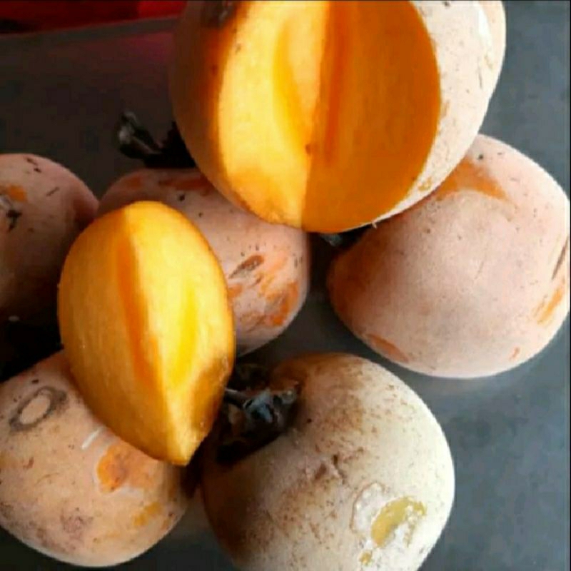 

buah kesemek manis 1kg