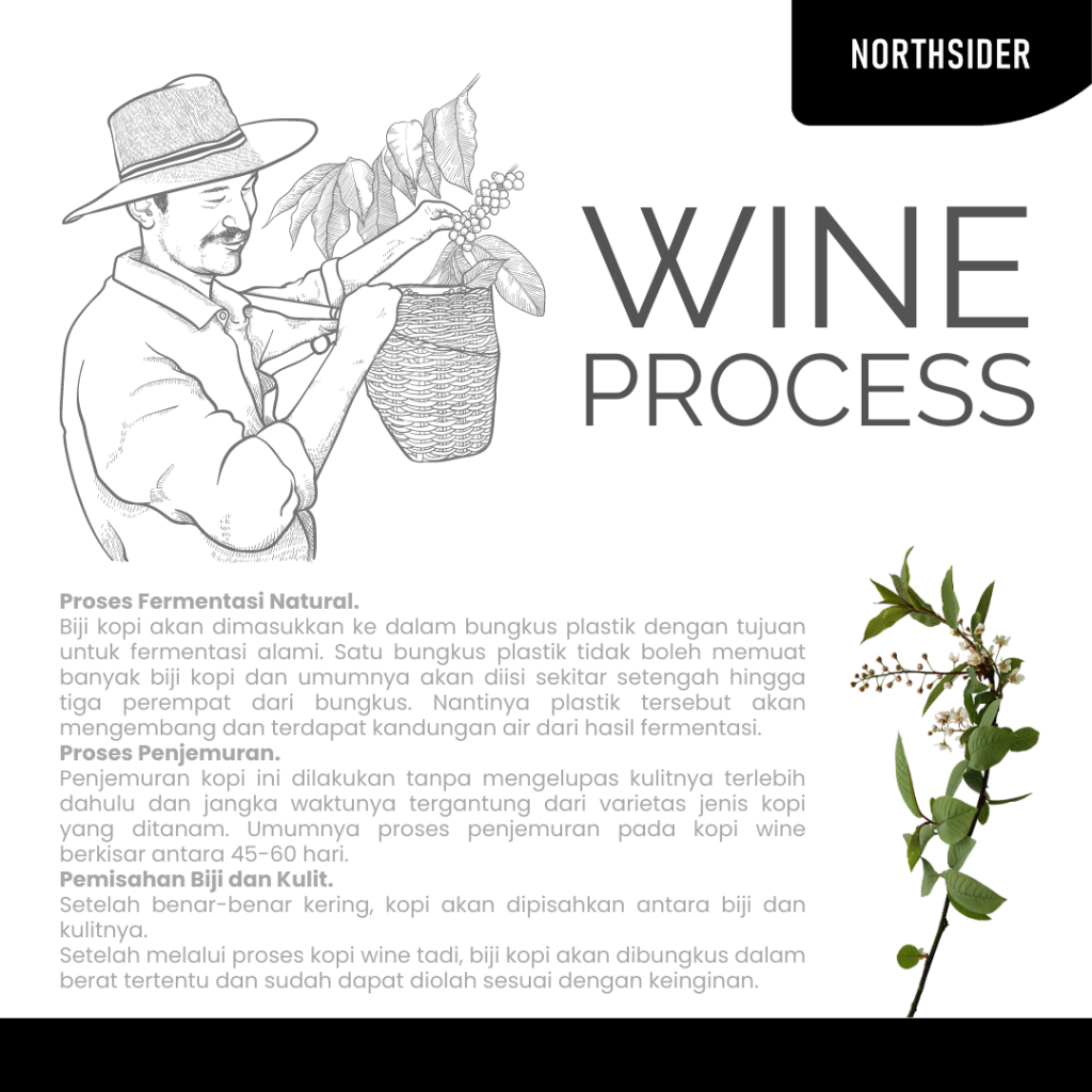 BIJI KOPI ARABIKA ACEH GAYO WINE - 500GR NORTHSIDER COFFEE