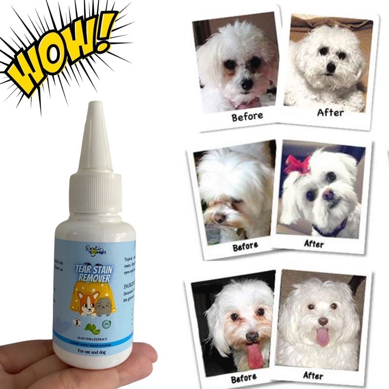 TEAR STAIN REMOVER 60ml PEMBERSIH KOTORAN MATA KUCING PEMBERSIH KOTORAN MATA  ANJING PEMBERSIH BELEK KUCING PEMBERSIH BELEK ANJING EYE CLEANER PEMBERSIH MATA KUCING PEMBERSIH MATA ANJING PEMBERSIH MATA HEWAN MEMBERSIHKAN KERAK MATA KUCING