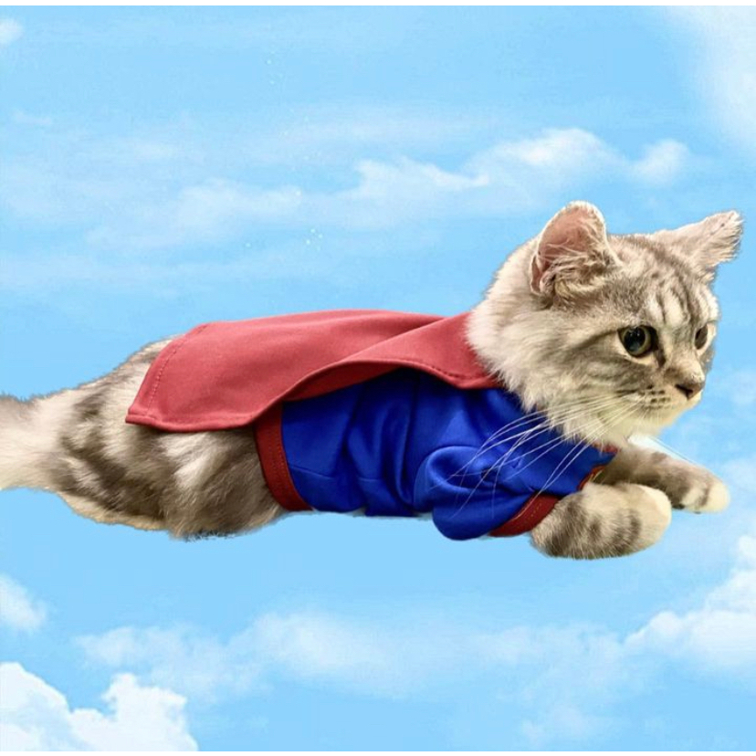 Baju Kaos Kucing Anjing SUPERMAN COSTUME - Pomapoo Special Edition