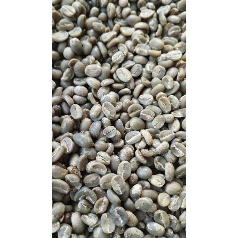 

greanbean kopi arabika java full wash double ted