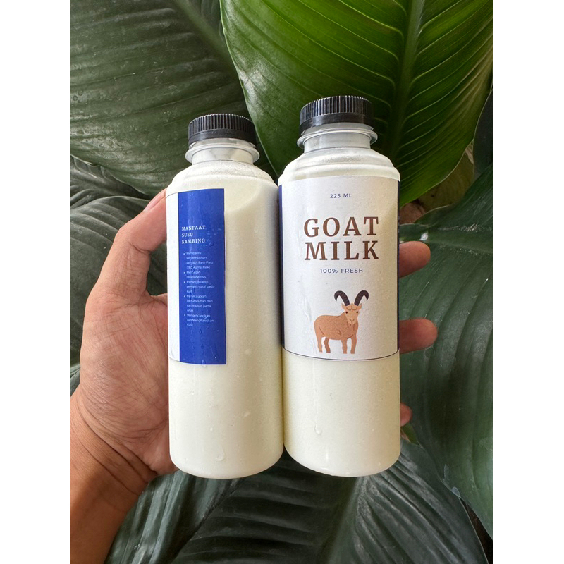 

susu kambing etawa