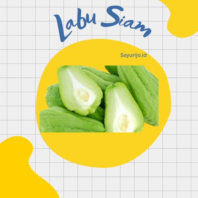 

Bisa Kirim Instan - Labu Siam / Manisa 250 gr