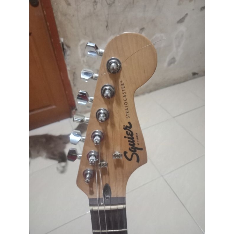 squier standar series