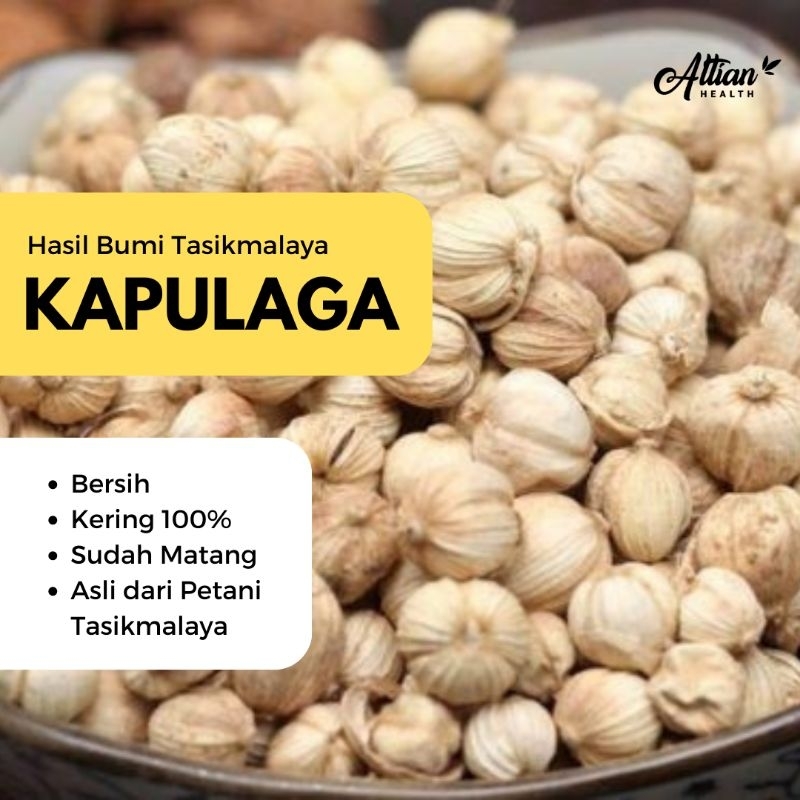 

KAPULAGA KAPOLAGA 50gram Murah Berkualitas