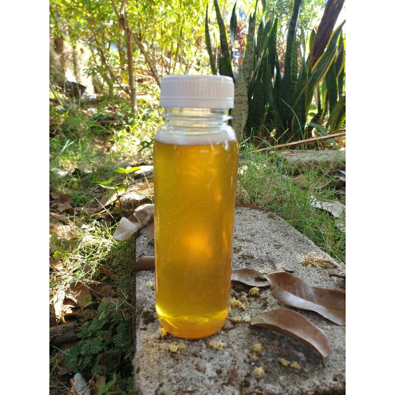 

MADU MURNI 250ML 100% MULTIFLORA ASLI LANGSUNG DARI PETANI MADU