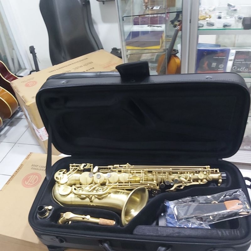 Saxophone Alto Walker Germany (Satin Gold)