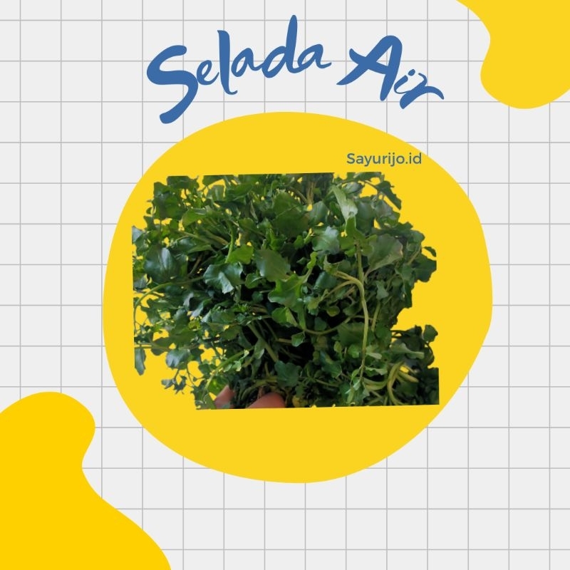 Bisa Kirim Instan - Sayur Selada Air