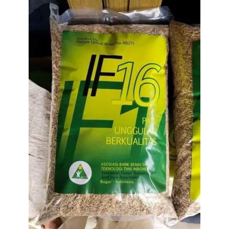 BENIH PADI IF16 ASLI DARI AB2TI (5kg)