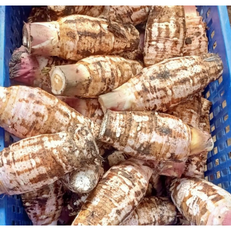 

talas asli pontianak (3kg)