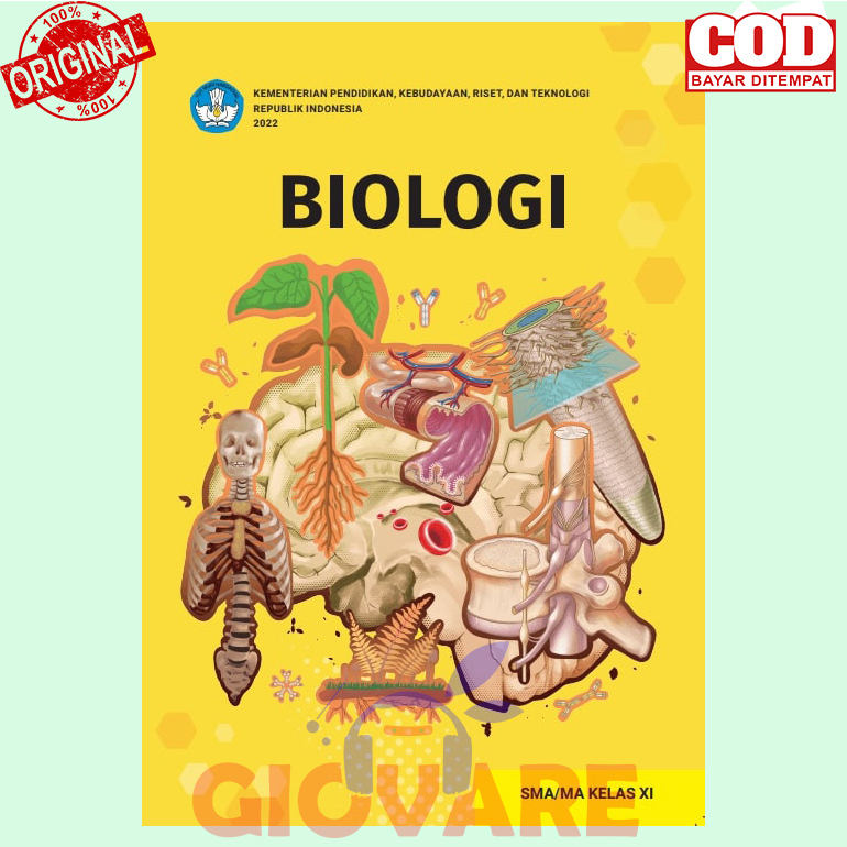 BUKU BIOLOGI SMA/MA KELAS 11 KURIKULUM MERDEKA ORIGINAL | BIOLOGI KELAS 11 KURIKULUM MERDEKA KUMER