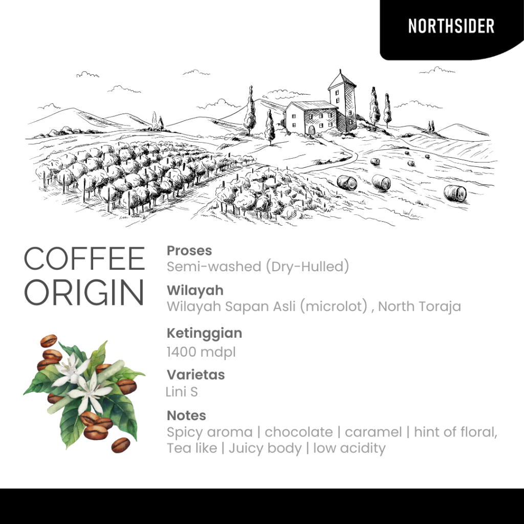 BIJI KOPI ARABIKA TORAJA SAPAN DRY HULLED - 1KG NORTHSIDER COFFEE