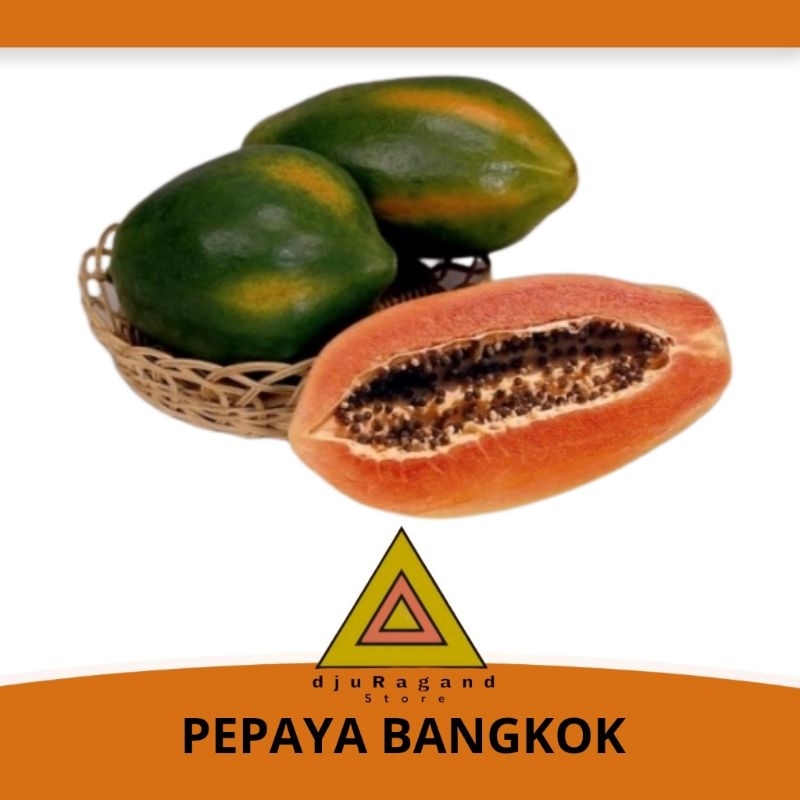 

PEPAYA BANGKOK PER BUAH
