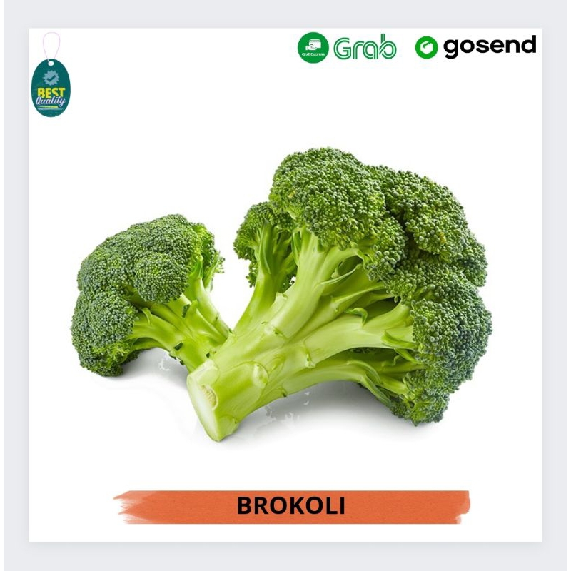 

Brokoli Segar - 500gr