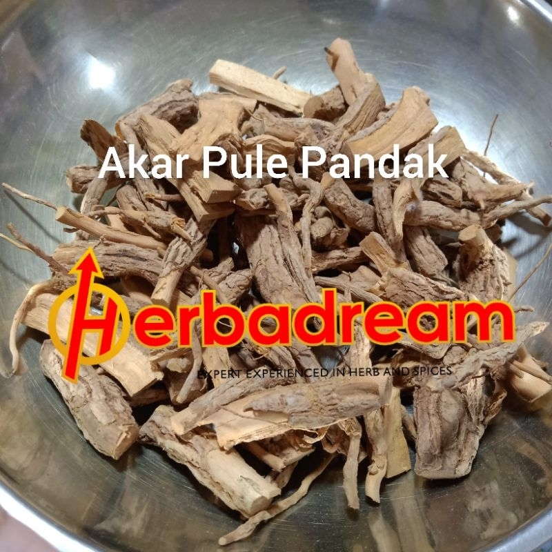 

250 GRAM AKAR PULE PANDAK SIMPLISIA KERING DRIED