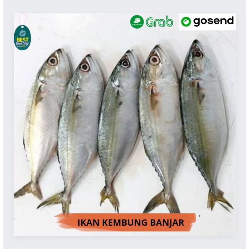 

Ikan Kembung Segar - 1000gr