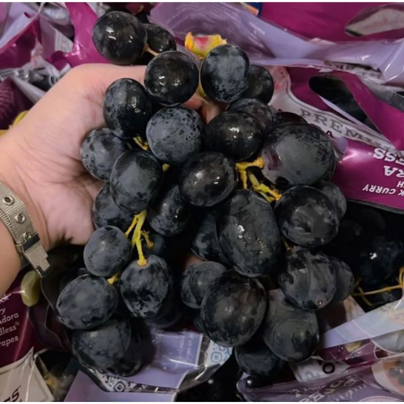 

ANGGUR BLACK AUTUMN MANIS DAN SEGAR