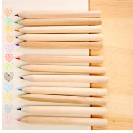 Pensil Warna Dan Peraut Pensil Warna Set 12 Warna