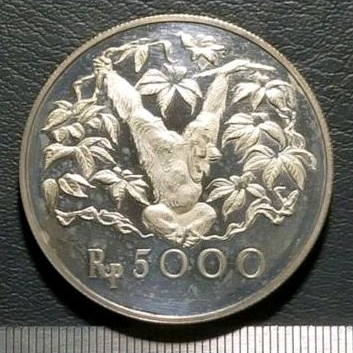 UANG KOIN KUNO WWF 5000 ORANG UTAN SILVER COIN PROOF TAHUN 1974