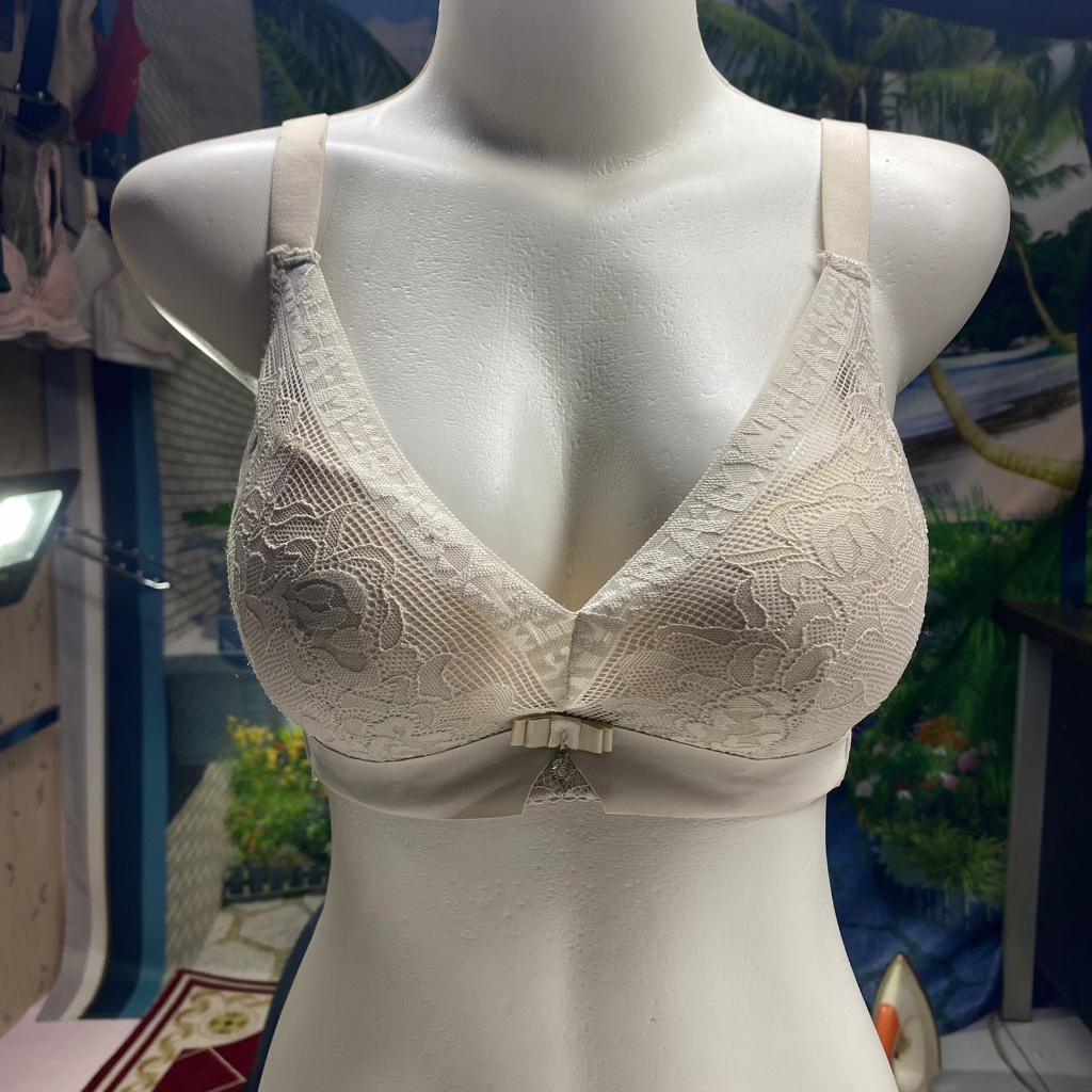 BRA / BH WANITA 2088 ADA KAWAT BUSA TEBAL SIZE 34-40