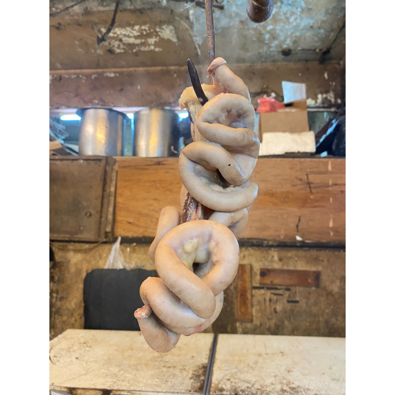 

Iso Sapi Rebus Usus Lokal