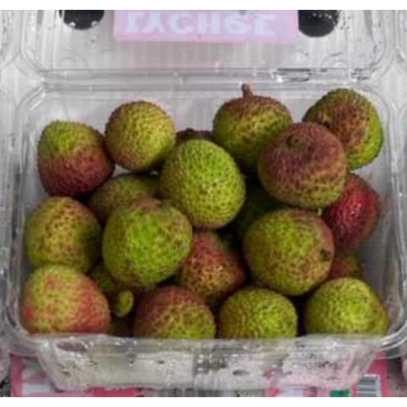 

Leci Dino Fresh Box Isi 14 Packs