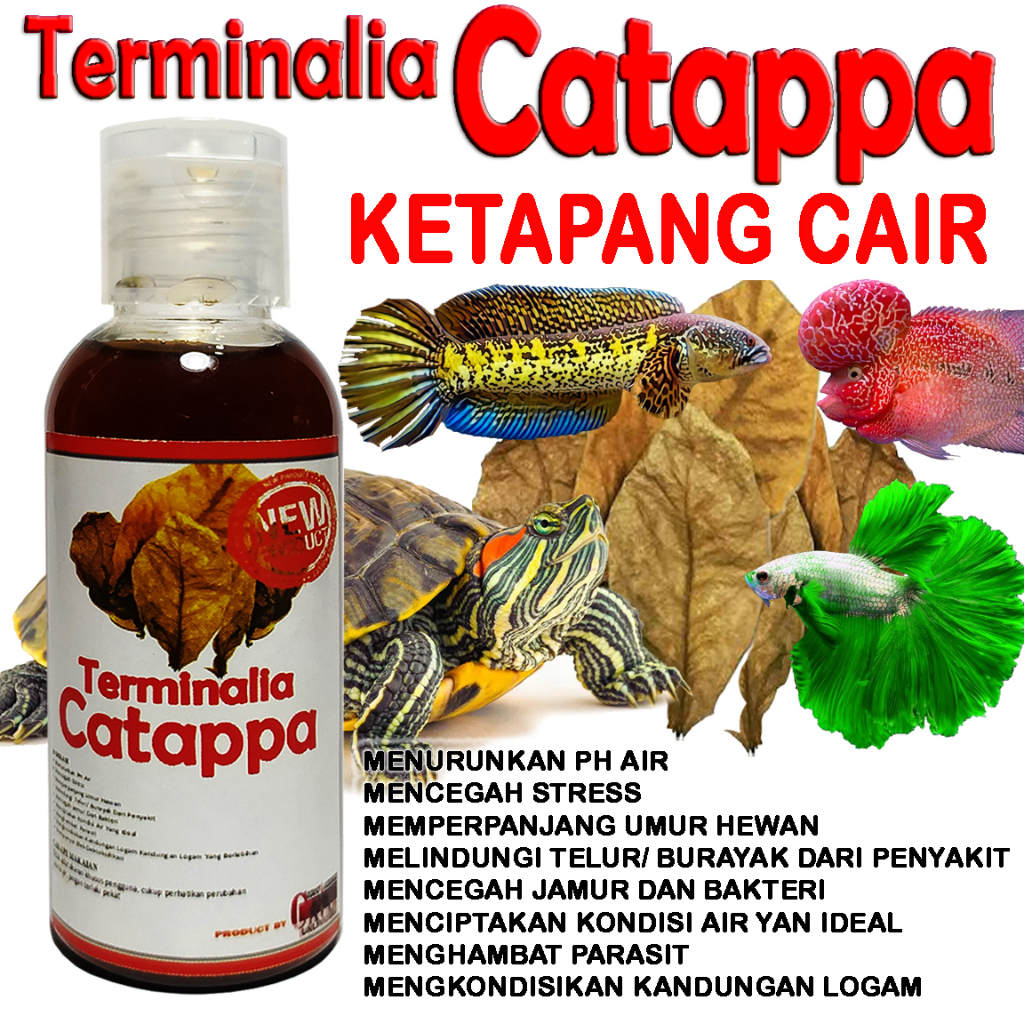 EKSTRAK DAUN KETAPANG CAIR X KAYU SECANG OBAT ALAMI HEWAN IKAN HIAS CUPANG CHANNA ARWANA LOUHAN OSCA