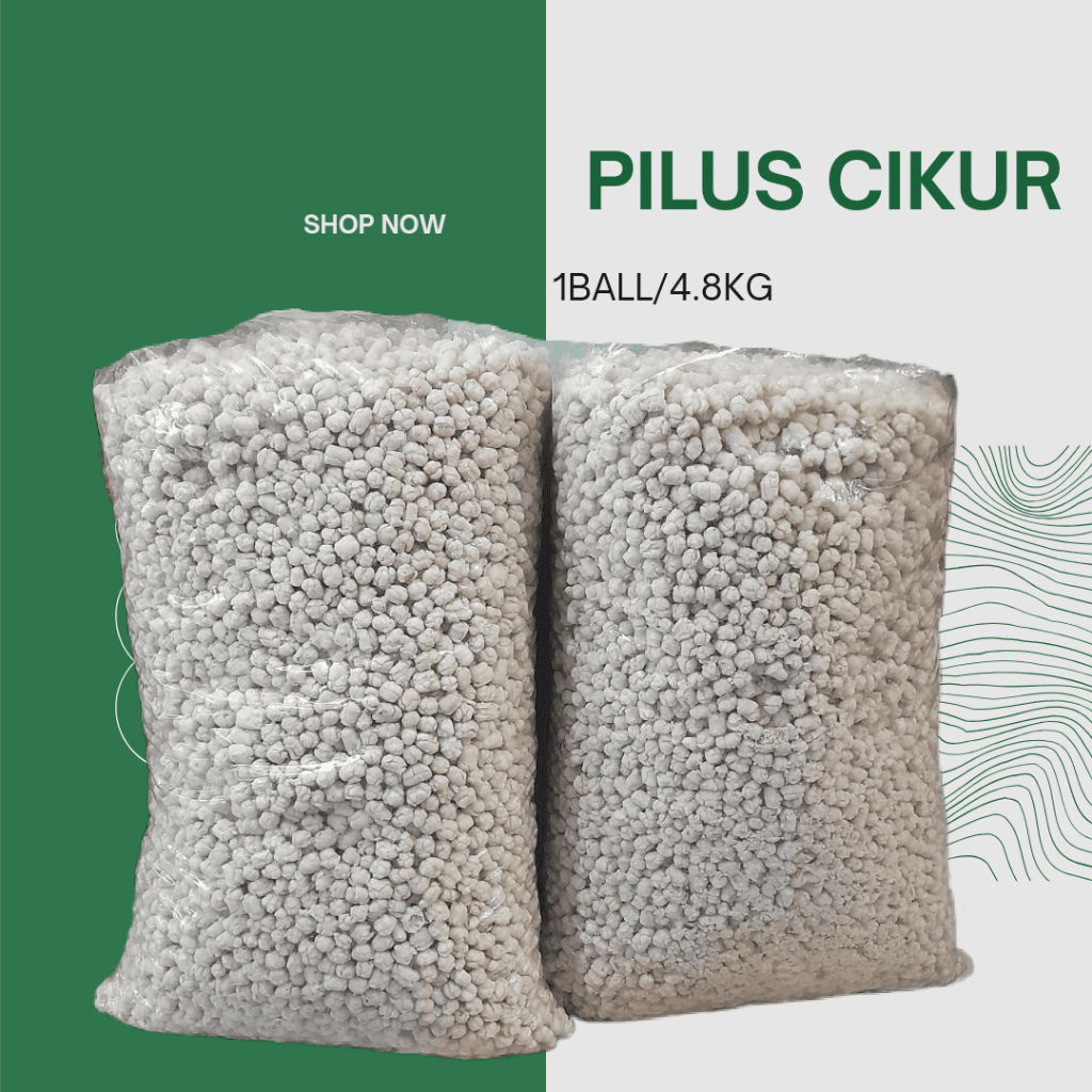 

2Xbtygneal Sakha Snack ) !! 1Kg Pilus Cikur Kencur Sukro