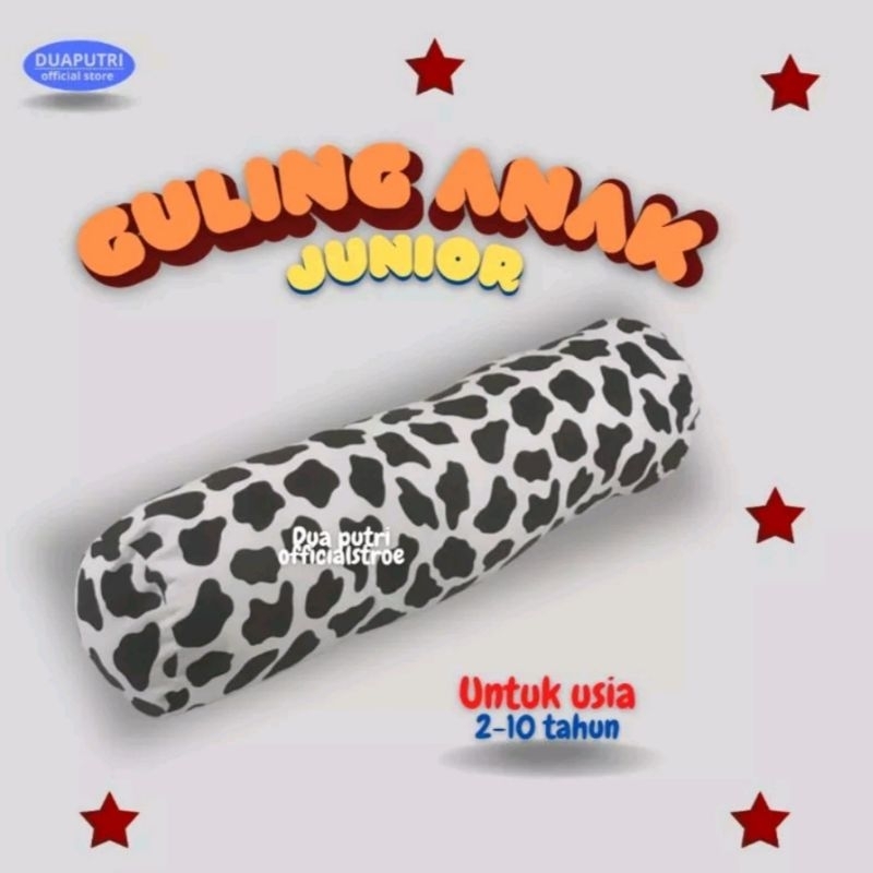 [ BGA] BANTAL GULING ANAK / BANTAL GULING JUNIOR / BANTAL ANAK KARAKTER / GULING ANAK KARAKTER