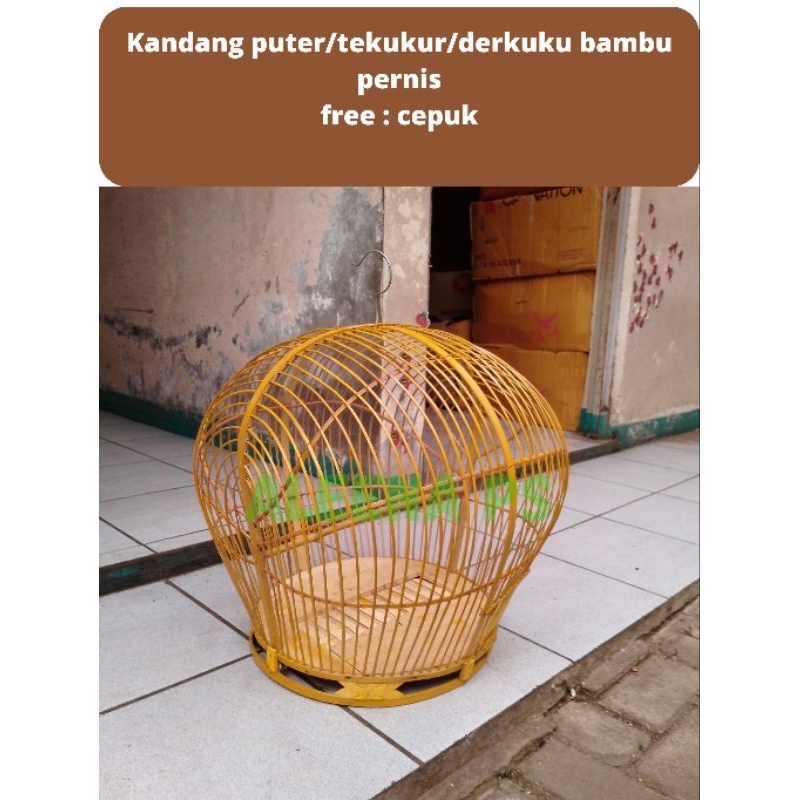 sangkar kandang puter bambu pernis