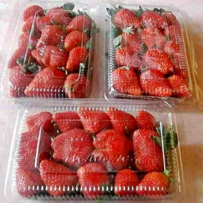 

strawbery fresh buah 1pcs