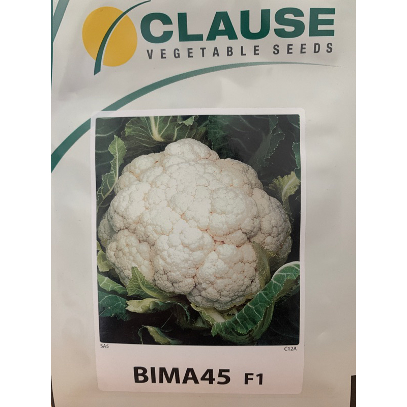 BENIH KOL BIMA - BIMA 45 - BENIH BUNGA KOL