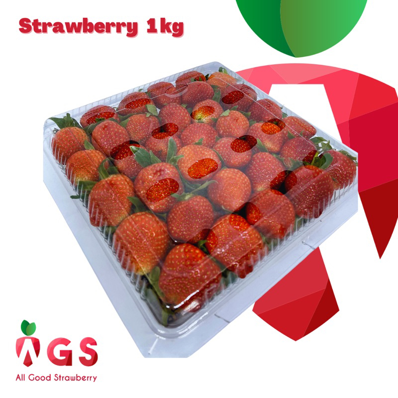 

Buah Strawberry Fresh Ciwidey Premium A / besar