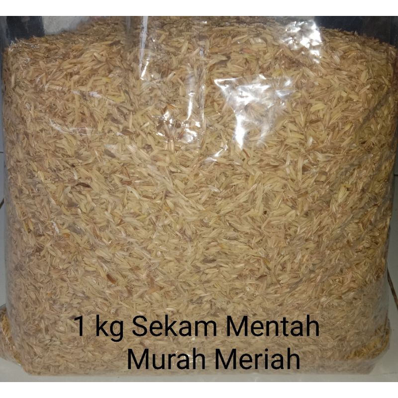 

Sekam Padi Mentah Murah Meriah Per 1 Kg Media Berbagai Tanaman