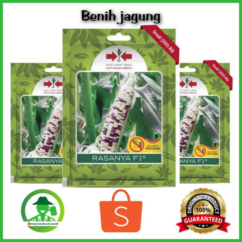benih jagung pulut warna putih ungu-cap panah merah-RASANYA F1 200 Butir