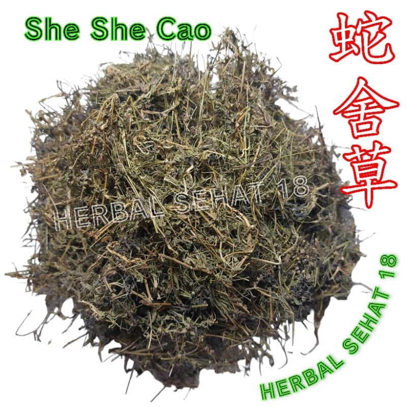 

Bai Hua She She Cao Lidah Ular Kering 600Gram Se She Chao Sheshecao She She Cao Sashecao Secao