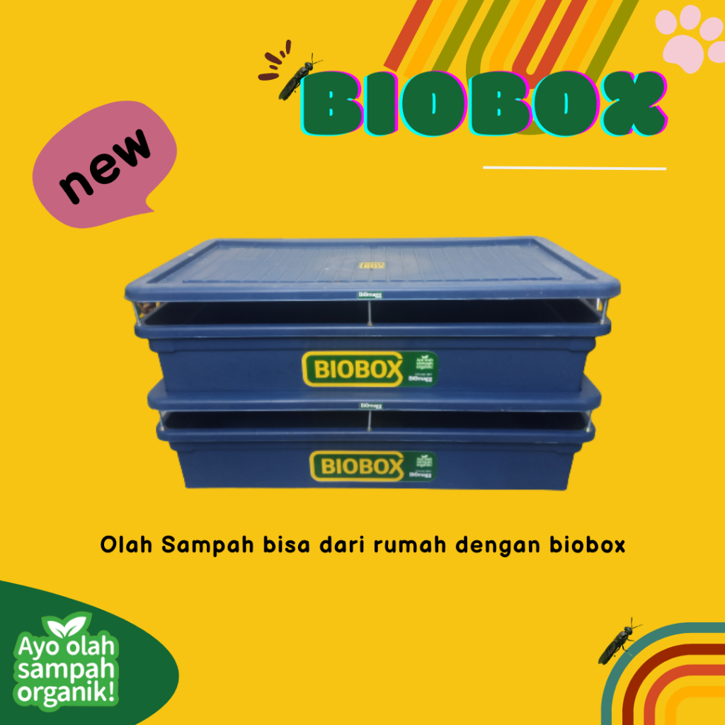 Biobox Large double box maggot tingkat box maggot bsf