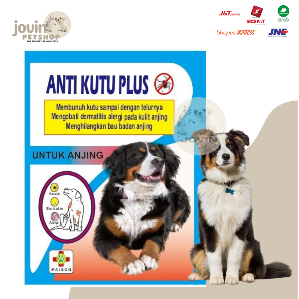 Obat Pembasmi Kutu Anjing Ampuh - ANTI KUTU PLUS ANJING SACHET