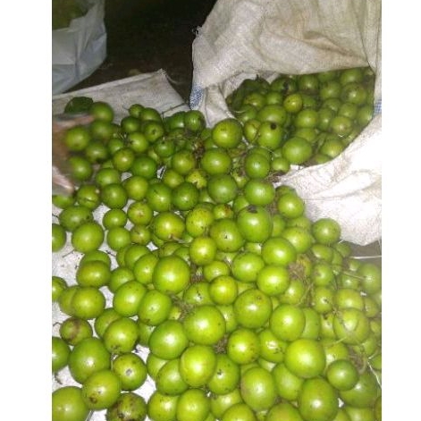 

Buah Gandaria/Buah Jatake Fresh