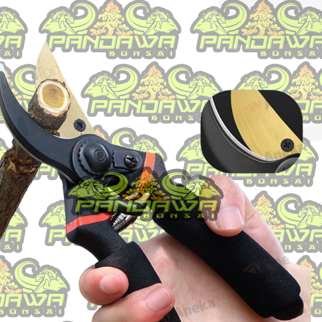 PANDAWA BONSAI-ALAT BONSAI Gunting Dahan Ranting Alat Potong Dahan Ranting