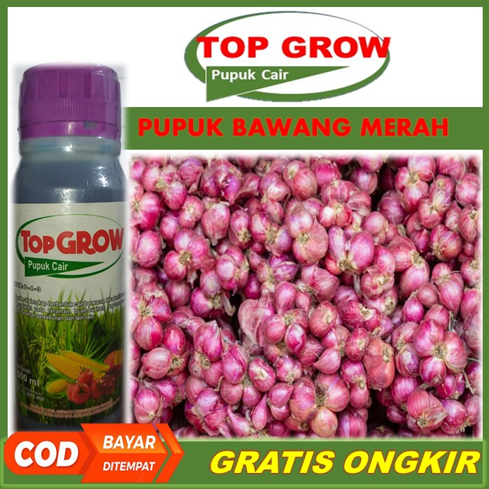TOP GROW Pelebat Bawang Merah Terbaik Tahan di Musim Hujan - Pupuk NPK Cair Pelebat Bawang Merah, Pu