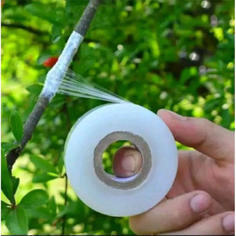 

Plastik Grafting Okulasi Warna Putih 6 cm x 100 m sambung cangkok