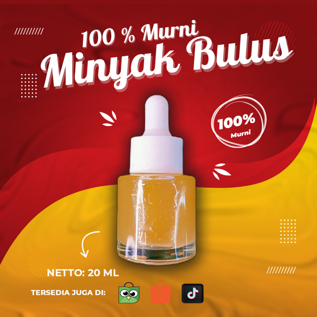 Minyak Bulus murni asli 100%