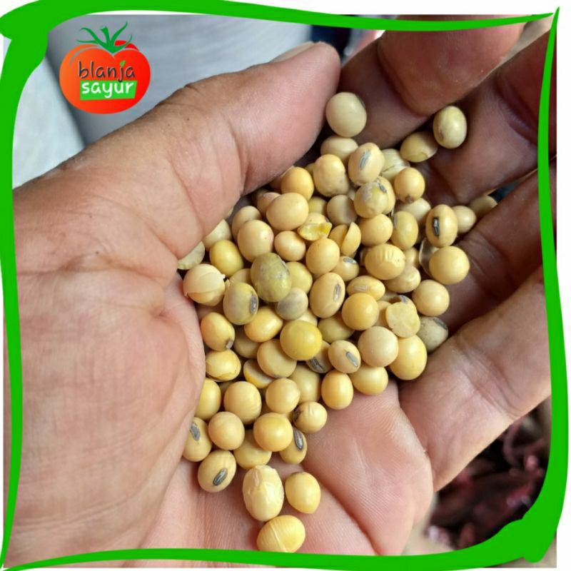 

Kacang Kedele /soya Bean 250gr