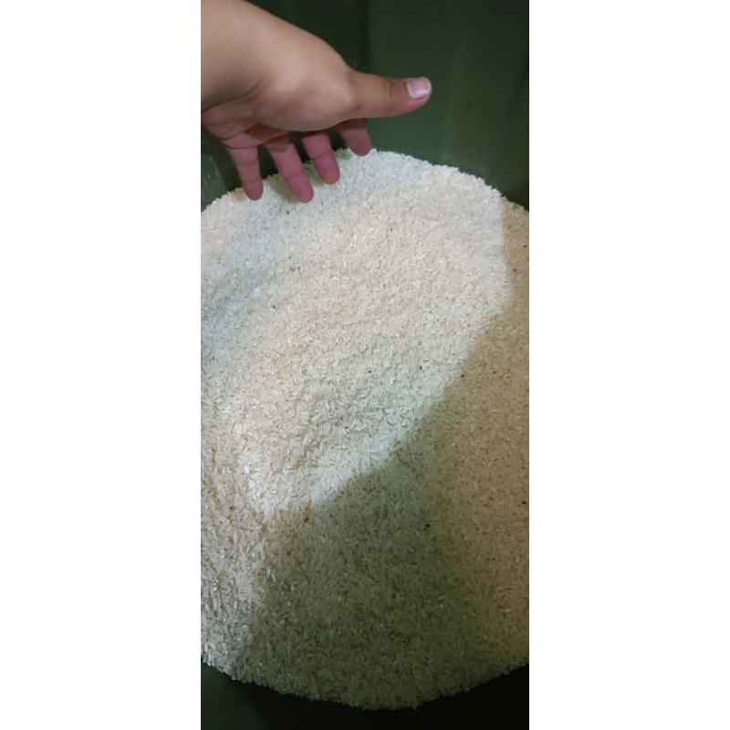 

beras Rusak/ beras makanan ayam bebek unggas/ beras berkutu/beras campuran pur
