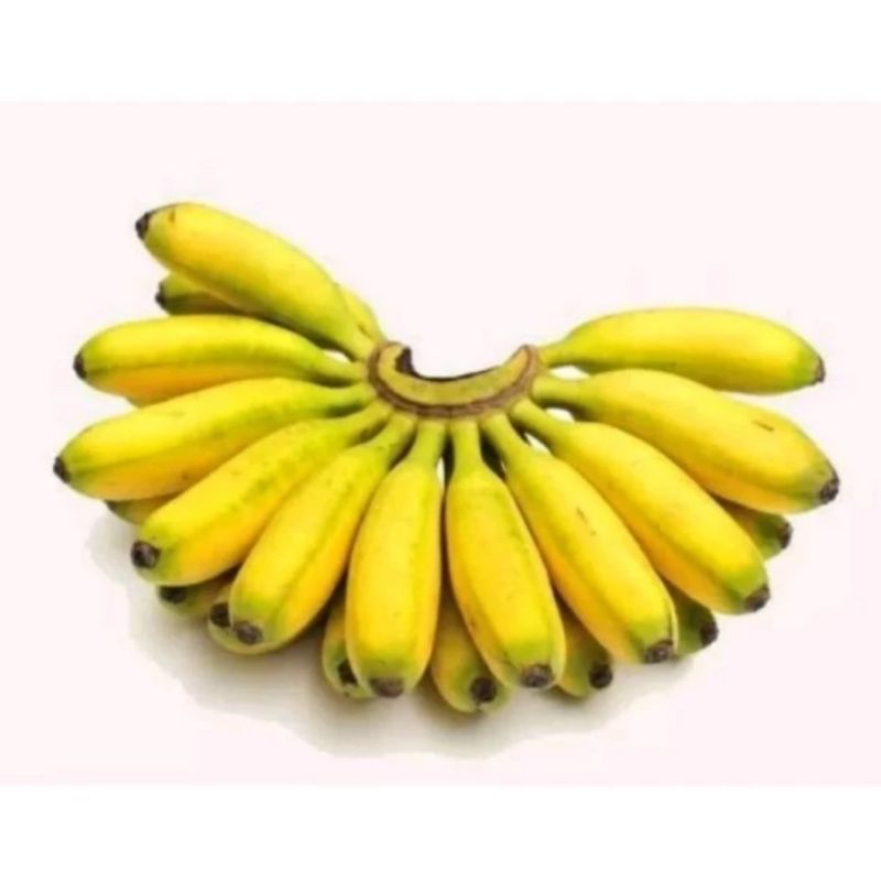 

Pisang barangan 1 sisir fresh