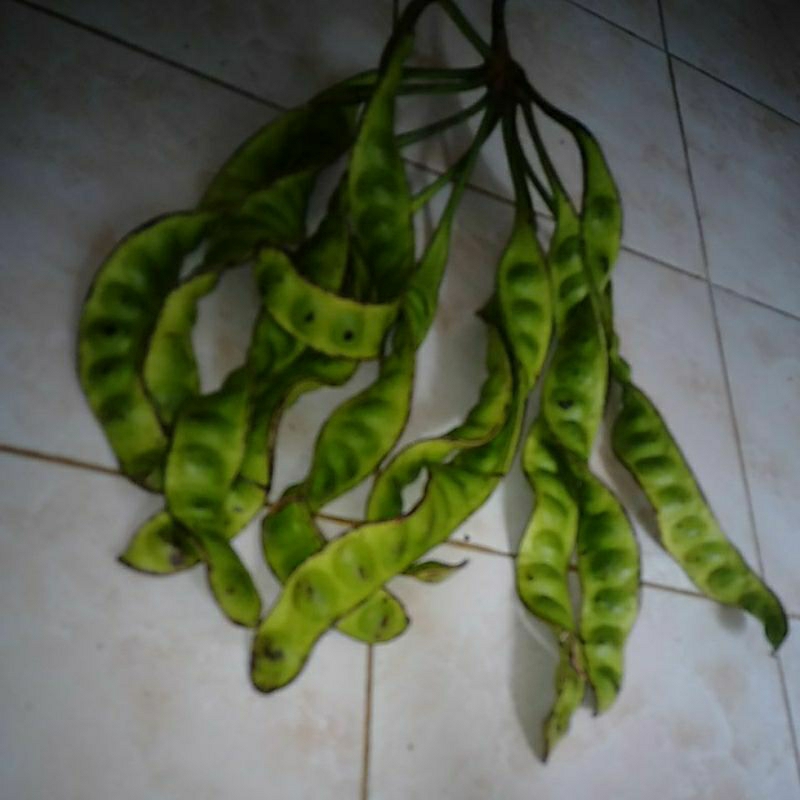 

SAYUR PETE SATUAN