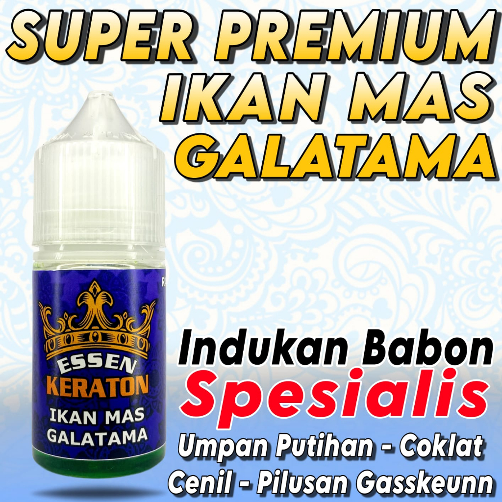 Essen Ikan Mas Keraton Galatama,Galapung,Lomba Indukan, Essen Ikan Mas Spesialis Indukan, Essen Ikan