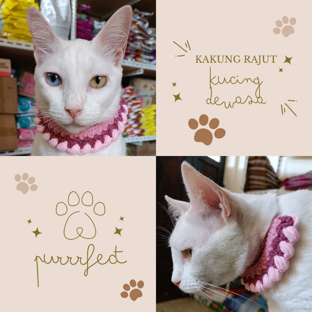 Kalung Rajut Kucing Dewasa Cat Collar
